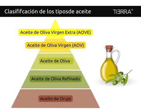 Clasificación de aceites de oliva por intensidad