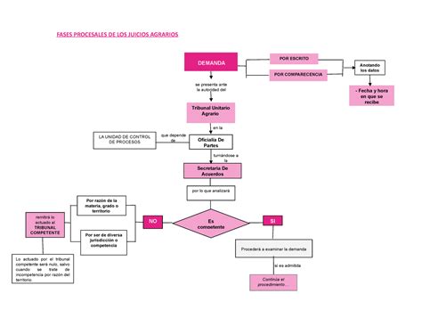 Diagrama de flujo de intoxicación alimentaria