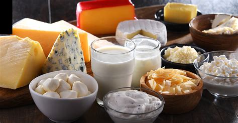 Yogures y otros productos lácteos fermentados