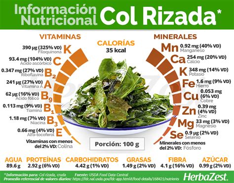 Composición de nutrientes de la ensalada de col rizada y espinacas