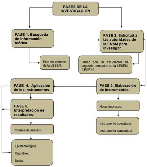 Esquema de las fases de congelación de masa de pan