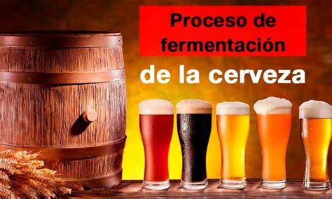 Proceso de fermentación de la cerveza artesanal