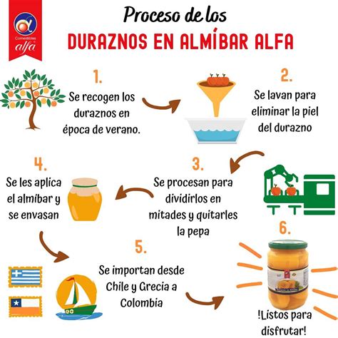 Proceso de cocción del almíbar