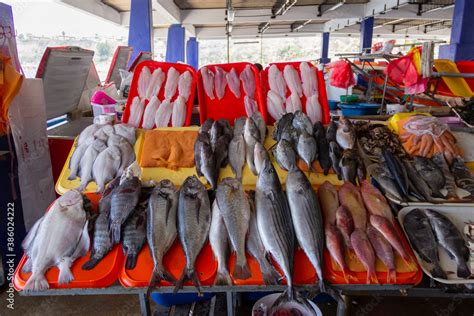 Pintarroja fresca en un mercado de pescado