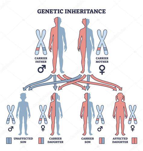Esquema de herencia genética en serpientes codominantes