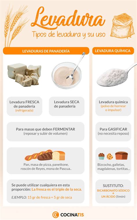 Tipos de levadura para pan