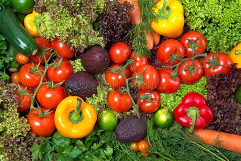 Verduras frescas y variadas