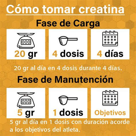 Tabla comparativa de suplementos de creatina