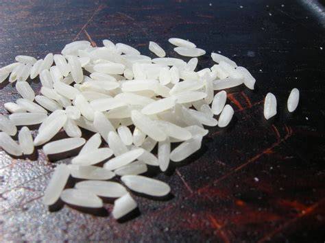 Grano de arroz redondo