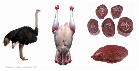 Tabla comparativa de valores nutricionales: carne de avestruz vs. pollo