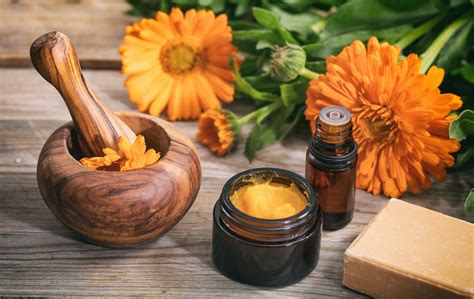 Ingredientes de la caléndula y sus beneficios para la piel