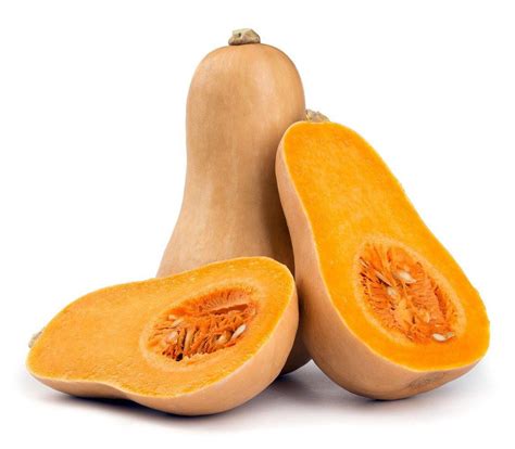 Variedad de calabaza Butternut