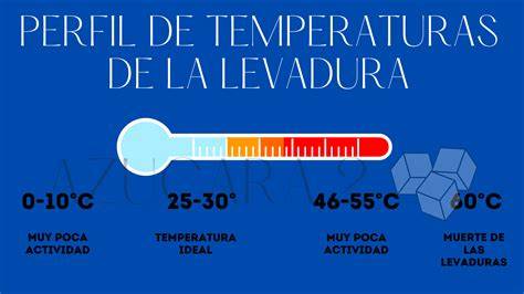 Infografía sobre temperaturas ideales para la fermentación del pan