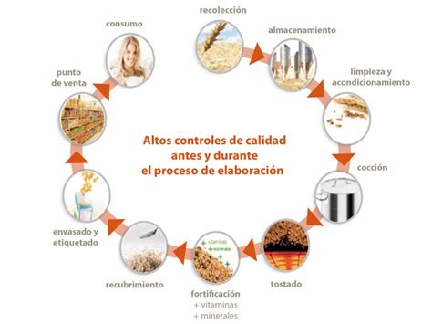 Proceso de fabricación de harina de huesos