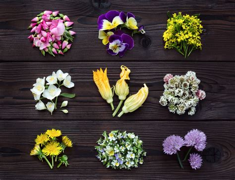 Flores Comestibles
