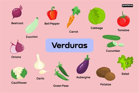 Infografía de diferentes vegetales con sus nombres en español e inglés