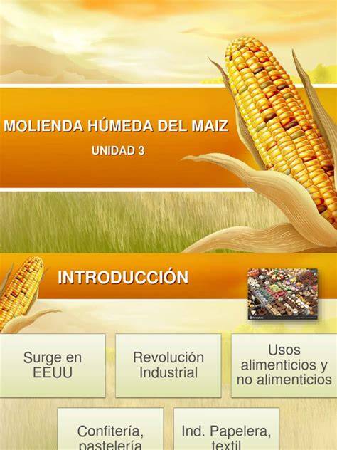 Diagrama esquemático de la molienda húmeda del maíz