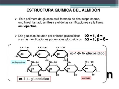 Estructura molecular del almidón y la glucosa