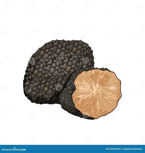 Ilustración de trufa negra
