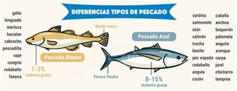 Clasificación de pescados blancos y azules