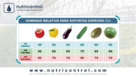 Gráfico que muestra la humedad relativa óptima para el cultivo de tomate