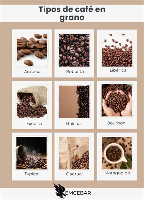 Variedades de café y sus características