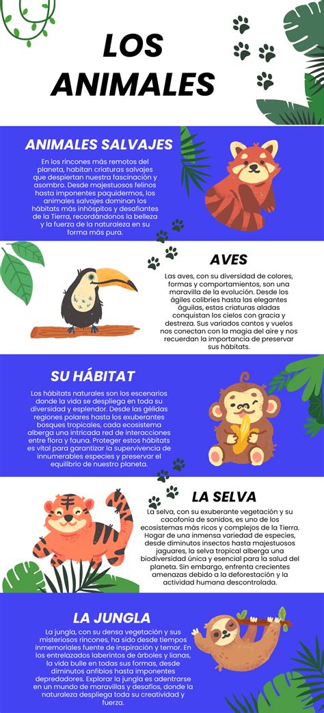 Infografía comparativa de la vida útil de las cerdas del arco según el uso