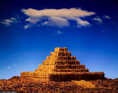 Paisajes creados con cereales por Ernie Button