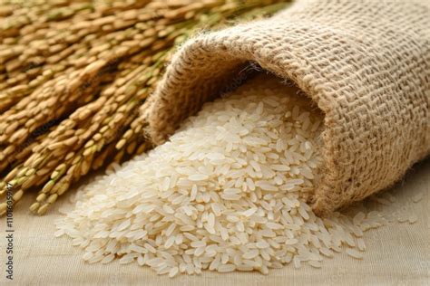 Granos de arroz bomba