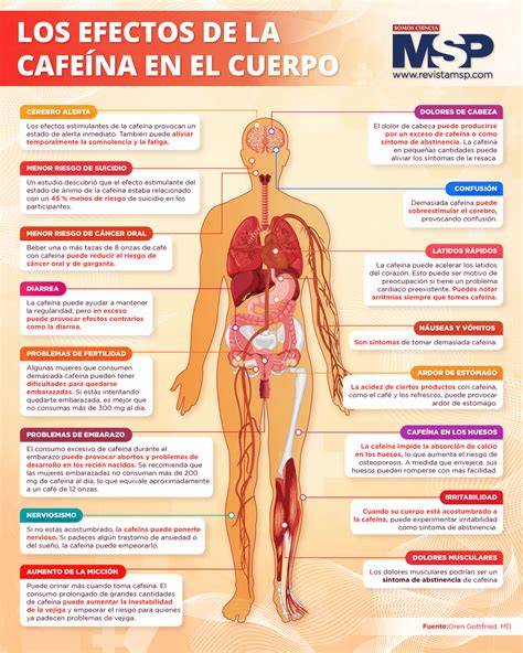 Representación de los efectos de la cafeína en el cerebro infantil