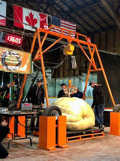 Calabaza gigante en una feria agrícola