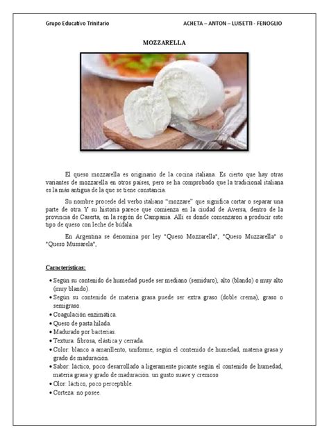 Proceso de elaboración de mozzarella