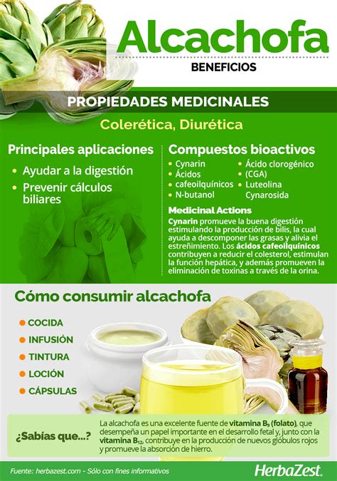 Infografía sobre beneficios de la alcachofa