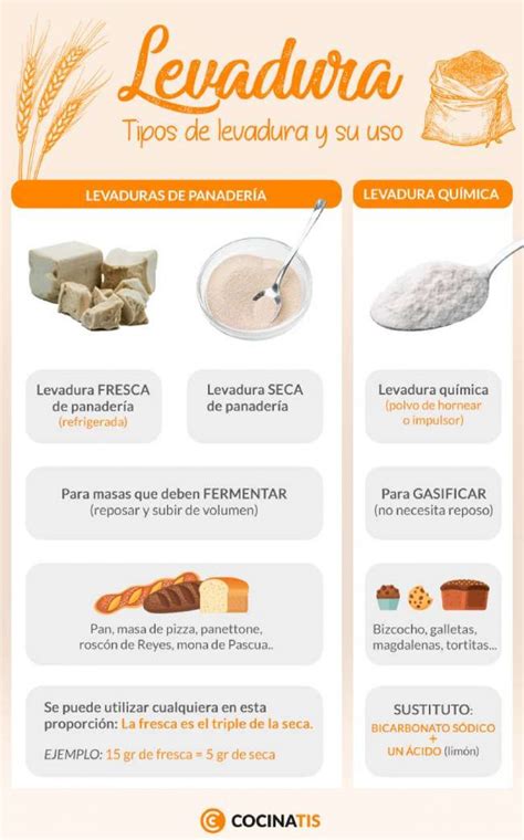 infografía sobre sustitutos de la levadura en repostería