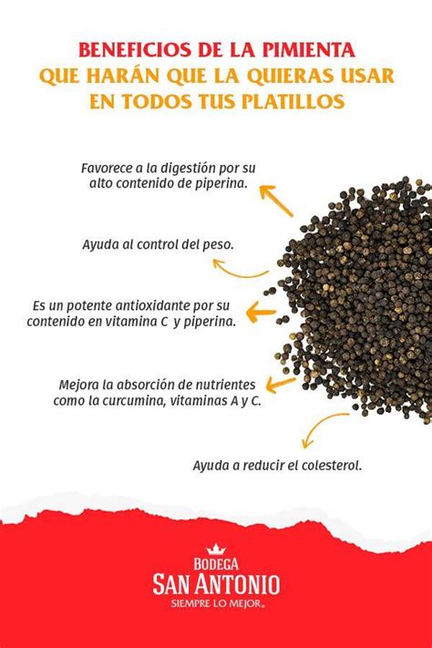 Infografía sobre los beneficios para la salud de la pimienta negra