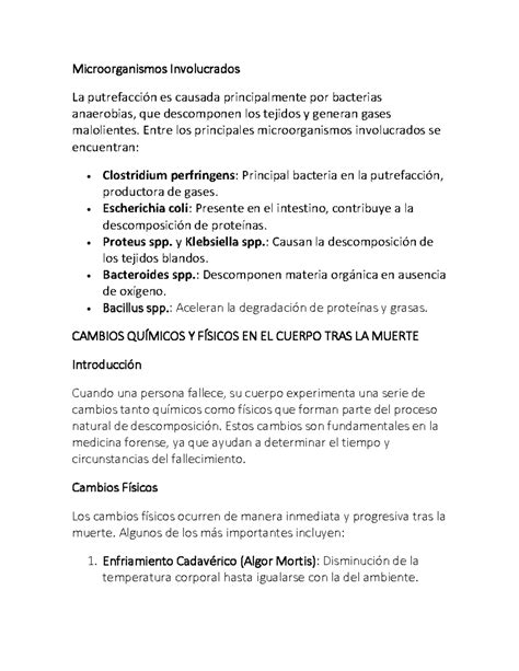 Microorganismos involucrados en la putrefacción