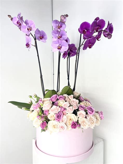 Arreglo floral con orquídeas y otras flores seguras para gatos