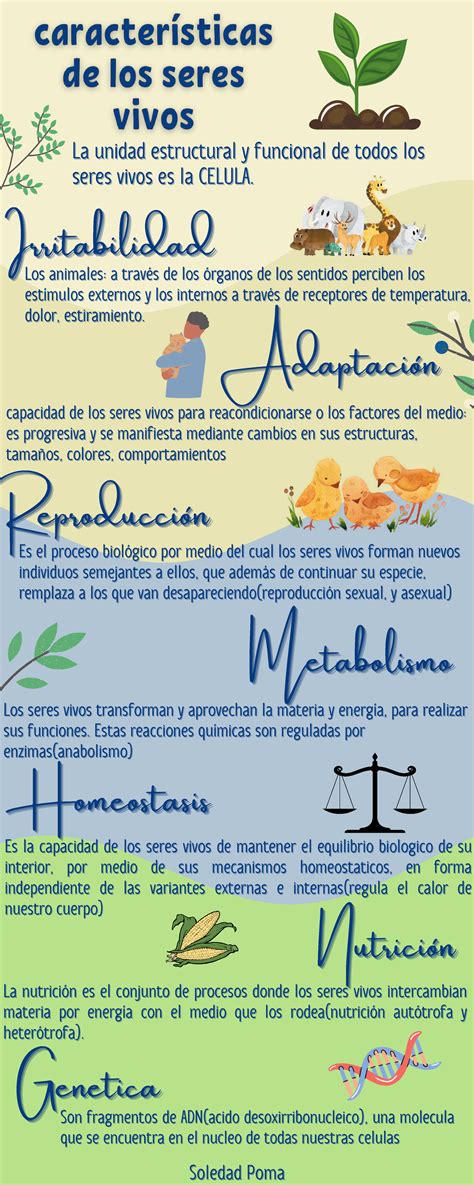 Infografía: Características de los culatines FAB Defense