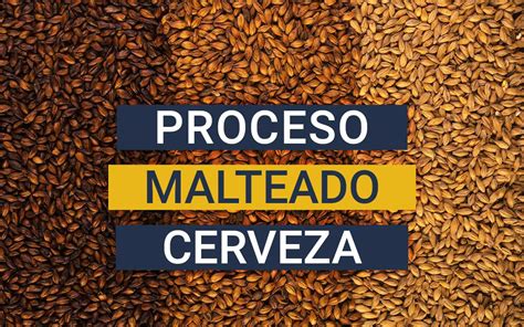 Proceso de tostado de la malta para cerveza