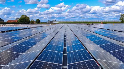 Paneles solares en la nave de producción de Freshcut