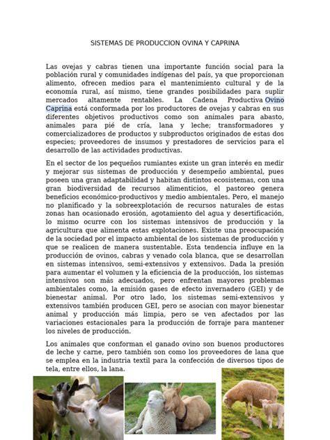 Mapa de la producción ovina y caprina en la Unión Europea