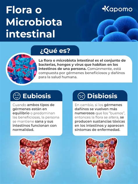 Representación de la flora intestinal sana