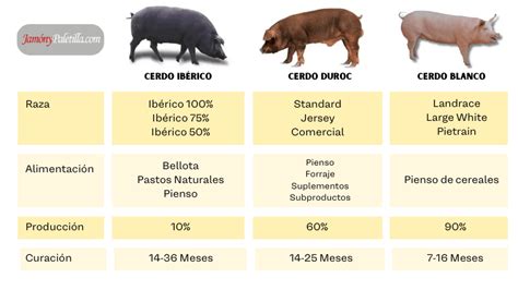 Comparativa de razas de cerdos para jamón: Ibérico, Duroc y Blanco