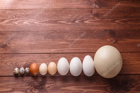 Comparativa de tamaños de huevos de aves