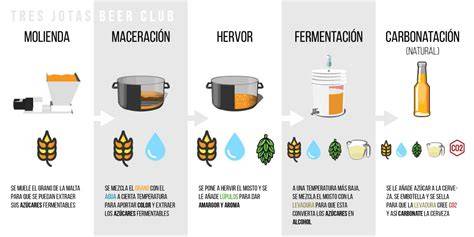 Esquema de los pasos principales para la elaboración de una cerveza artesanal