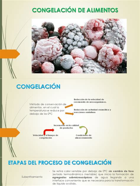 Esquema del proceso de escaldado y congelación de brócoli