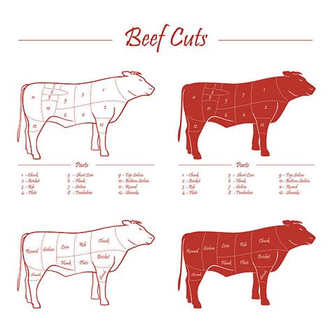 Corte de carne de Charolais