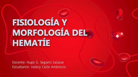 Hematíe dismórfico de morfología polidiverticular