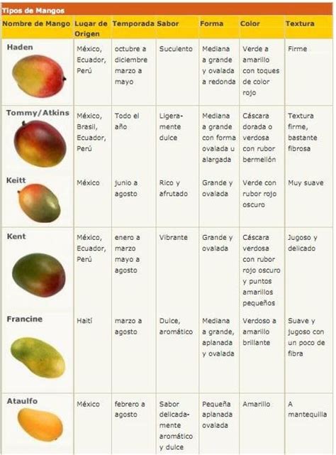 Variedades de mangos adecuados para encurtir