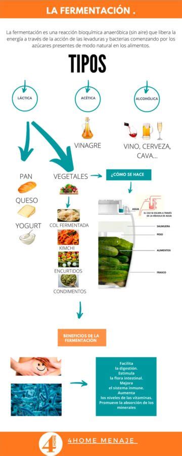 Infografía sobre los pasos básicos de la fermentación de vegetales